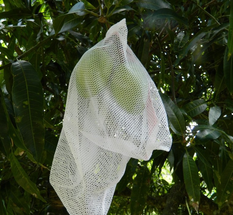 New use for a lingerie bag