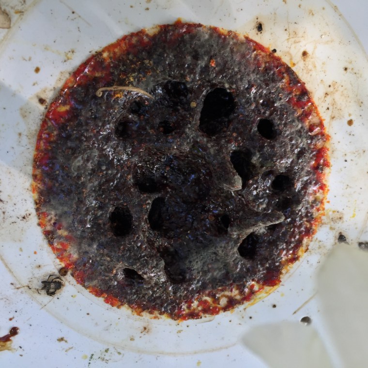 Hoping the holes mean that they will fill the pot later?