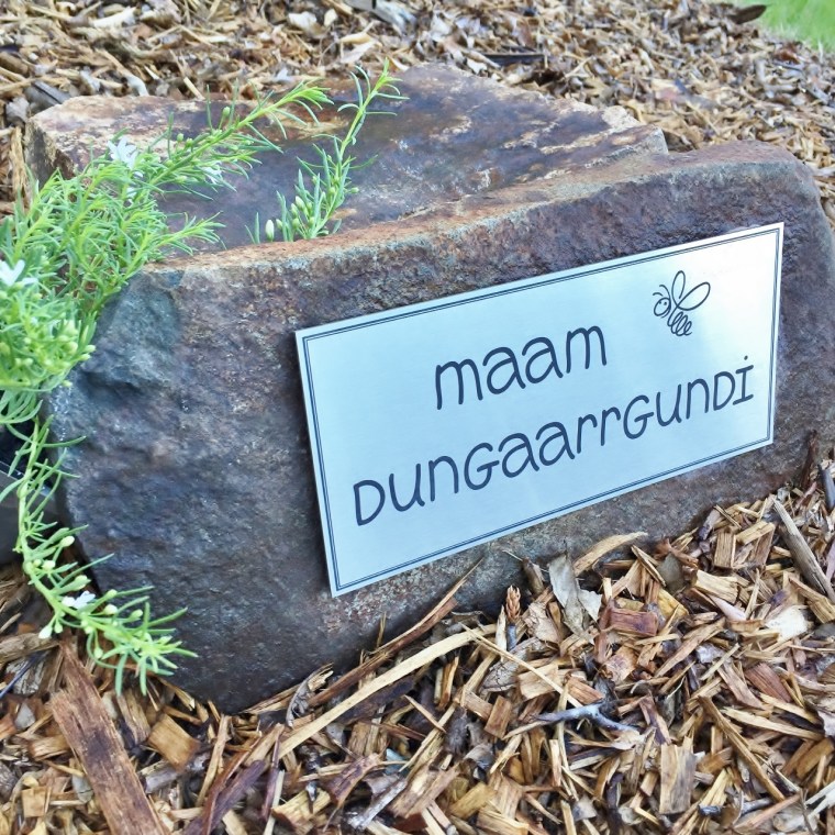 Maam dungaarrgundi - place of bees in Gumbaynggirr